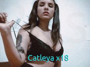 Catleya_x18