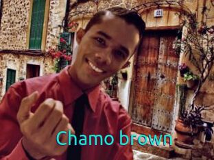Chamo_brown