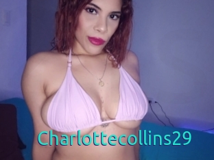 Charlottecollins29