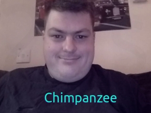 Chimpanzee