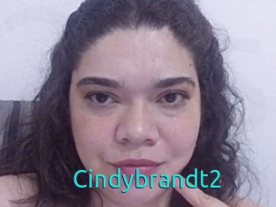 Cindybrandt2