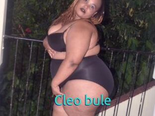 Cleo_bule
