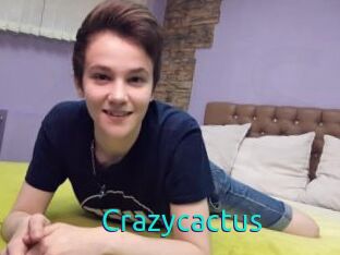 Crazycactus