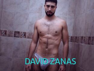 DAVID_ZANAS