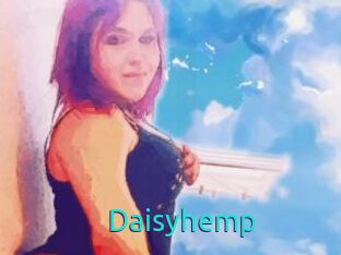 Daisy_hemp