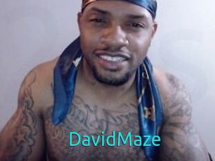David_Maze