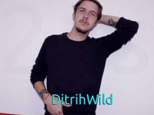 DitrihWild