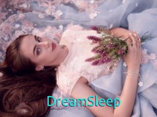 DreamSleep