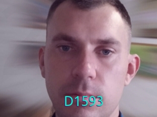 D1593