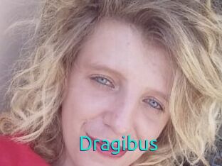 Dragibus