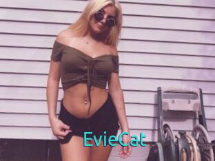 EvieCat