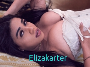 Elizakarter