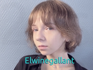 Elwinegallant