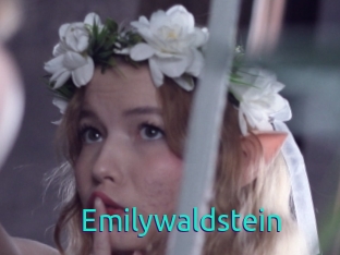 Emilywaldstein