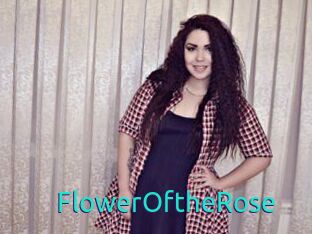 FlowerOftheRose