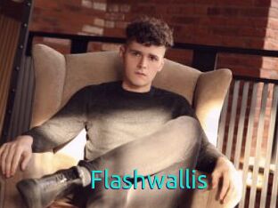 Flashwallis