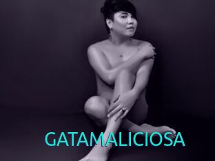 GATAMALICIOSA