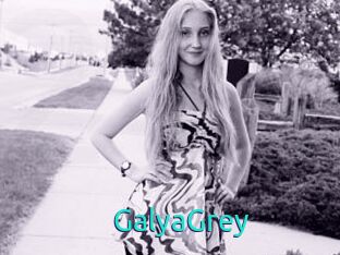 GalyaGrey