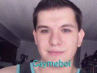Gaymeboi