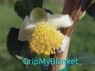 GripMyBlanket