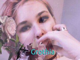 Grothia