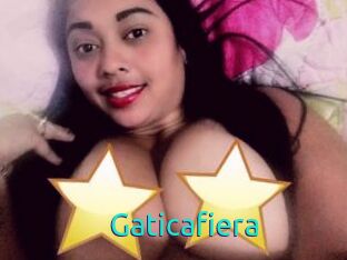 Gaticafiera