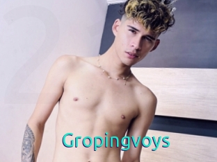 Gropingvoys
