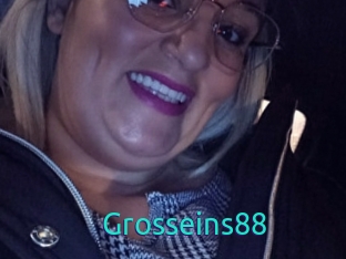 Grosseins88