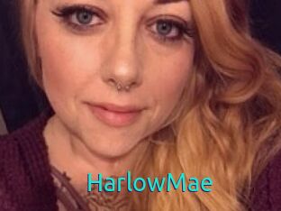 HarlowMae
