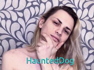 HauntedDog