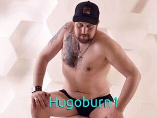 Hugoburn1