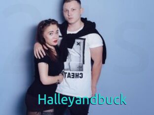 Halleyandbuck