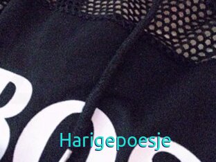 Harigepoesje
