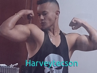 Harveytecson
