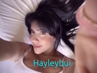Hayleybui