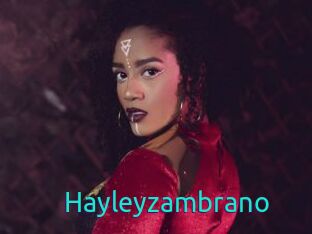 Hayleyzambrano