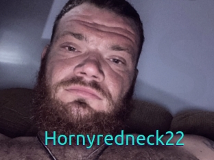 Hornyredneck22