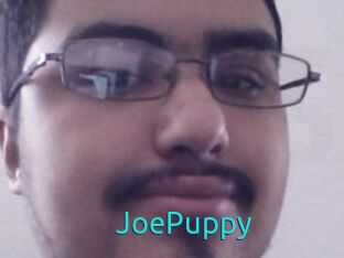 JoePuppy