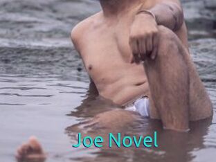 Joe_Novel