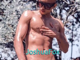 JoshuaFox
