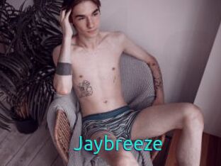 Jaybreeze