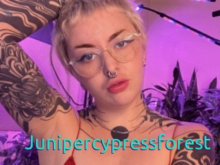Junipercypressforest