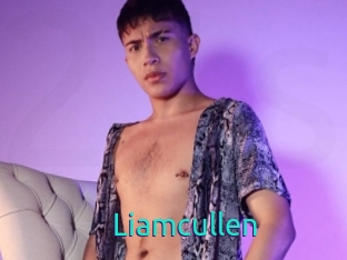Liamcullen