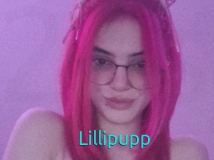 Lillipupp