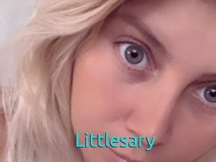 Littlesary