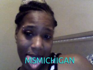 MSMICHIGAN