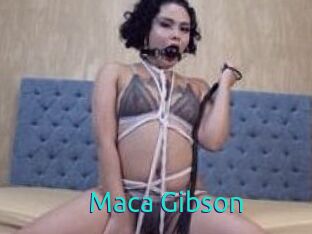 Maca_Gibson