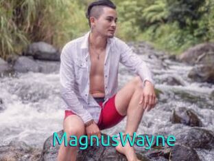 MagnusWayne