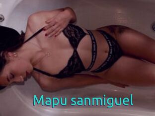 Mapu_sanmiguel