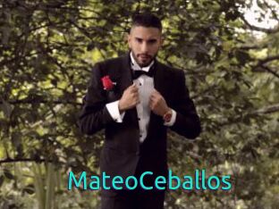 MateoCeballos